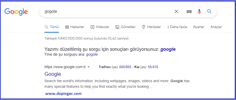 Google did you mean uyarısı nasıl düzeltilir
