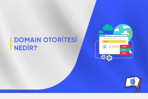 Domain Otoritesi Nedir? Nasıl Artırılır?