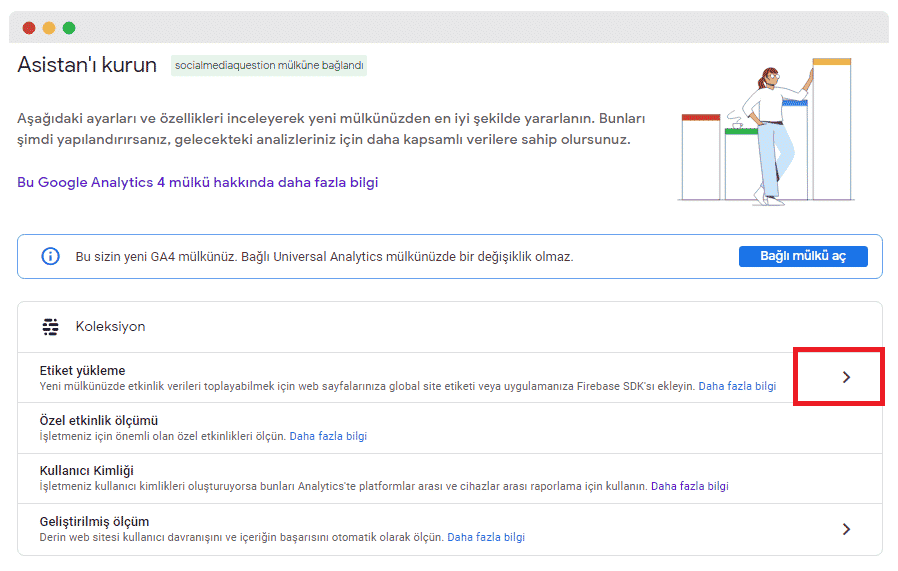 Google analytics asistanı kur