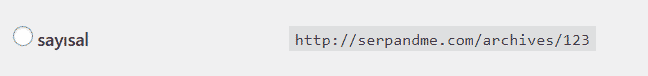 Wordpress kalıcı bağlantı sayısal ayarlar