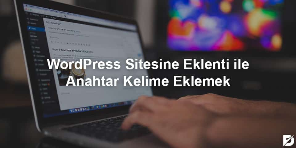 wordpress sitesine eklenti ile anahtar kelime yüklemek