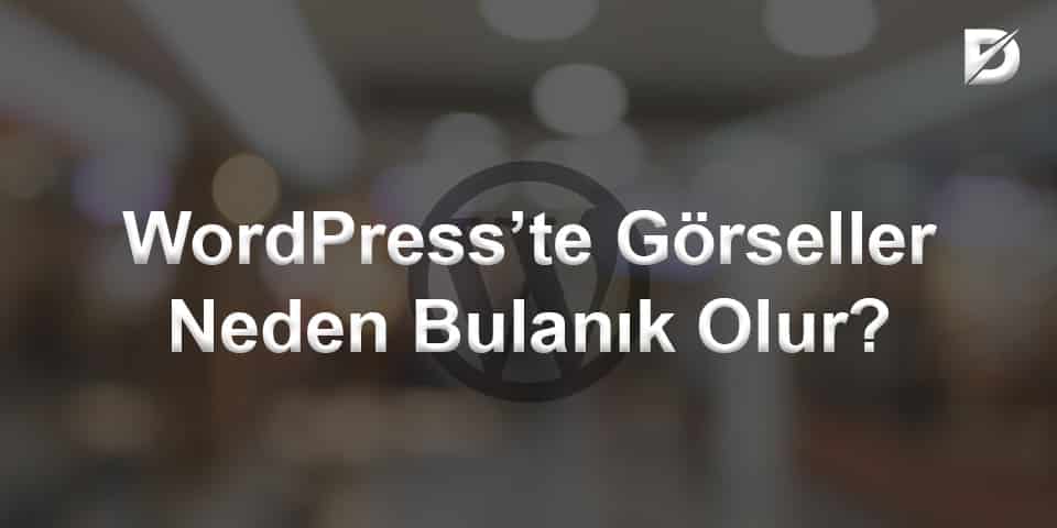 WordPress’te Görseller Neden Bulanık Olur?