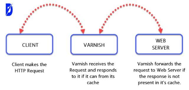 client varnish web server