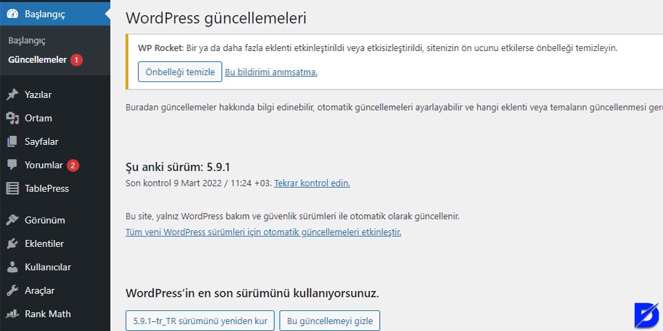 wordpress güncellemeleri