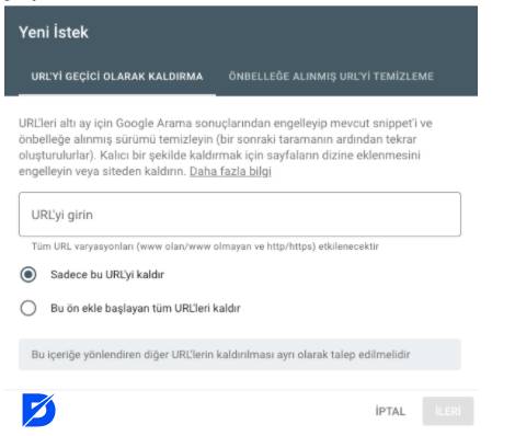 Google URL kaldırma yeni istek