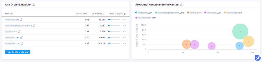 SEPR Rakip Analizi