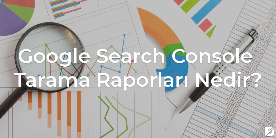 google search console tarama raporları nedir