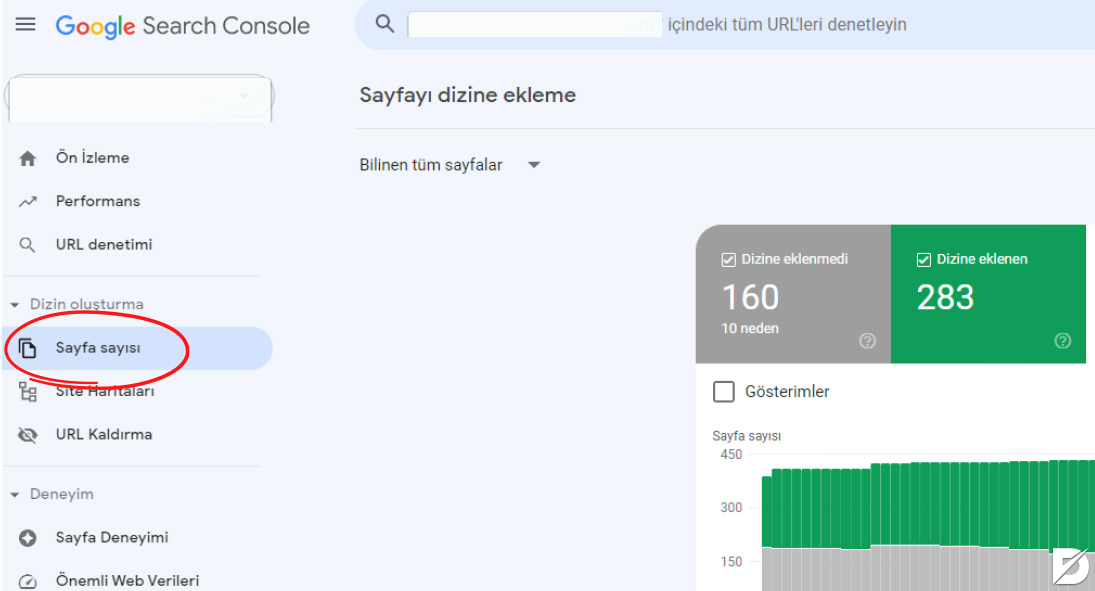 google search console sayfa sayısı