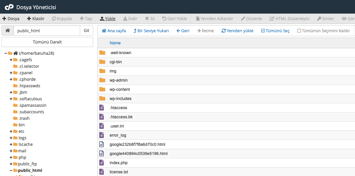 cpanel dosya yükle
