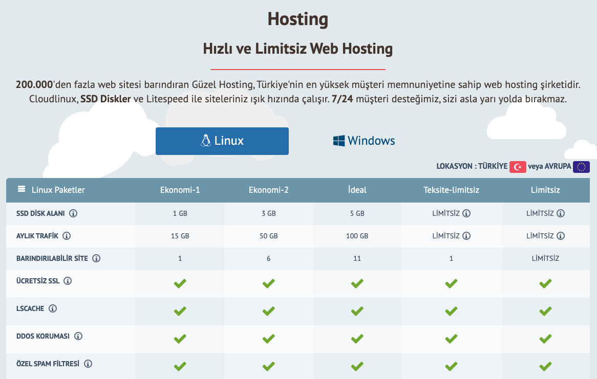wordpress için hosting