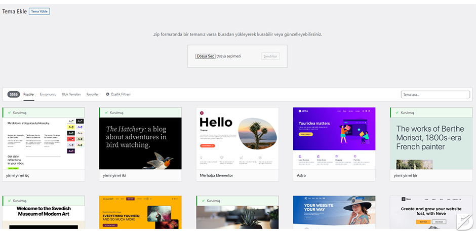 wordpress teması yüklemek