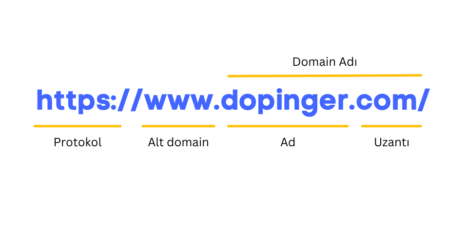 domain adı