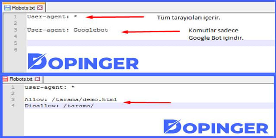 Wordpress Robots.txt Nasıl Olmalıdır?