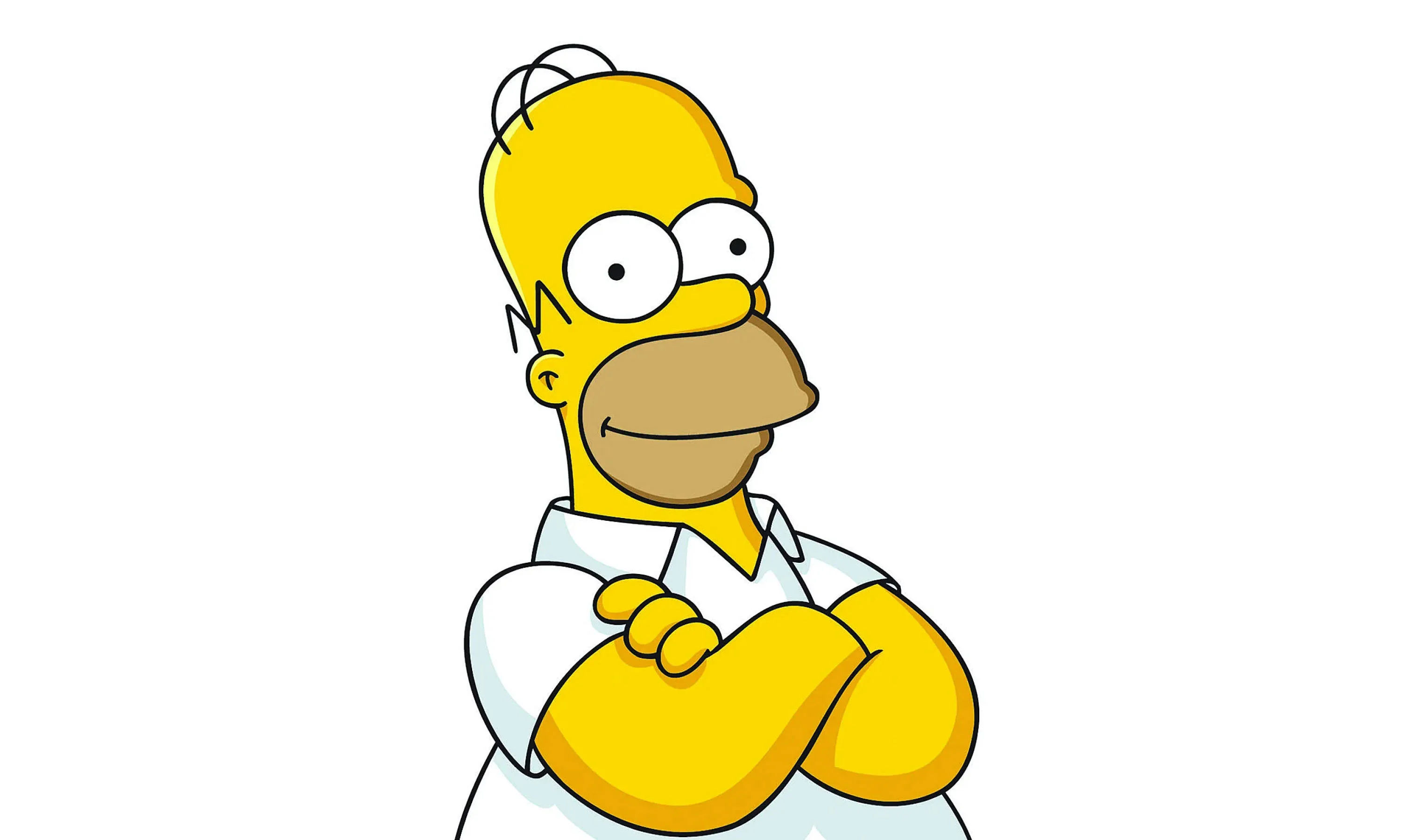 Homer Simpson