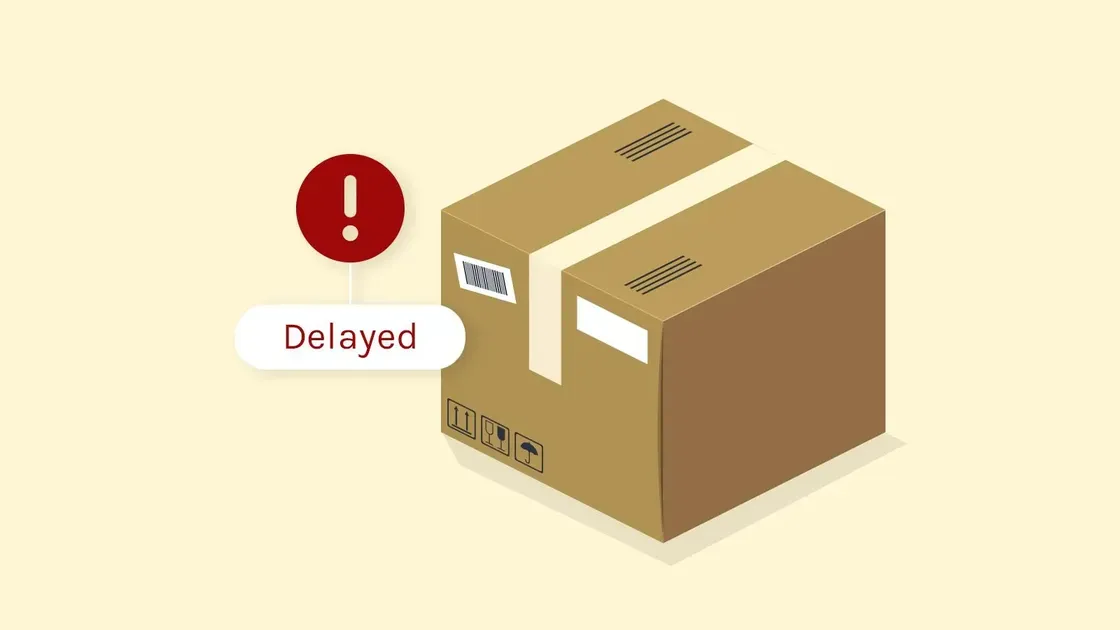 Shipping delays and customs holdups