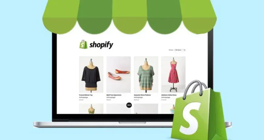 Enhanced customization and shopping experience