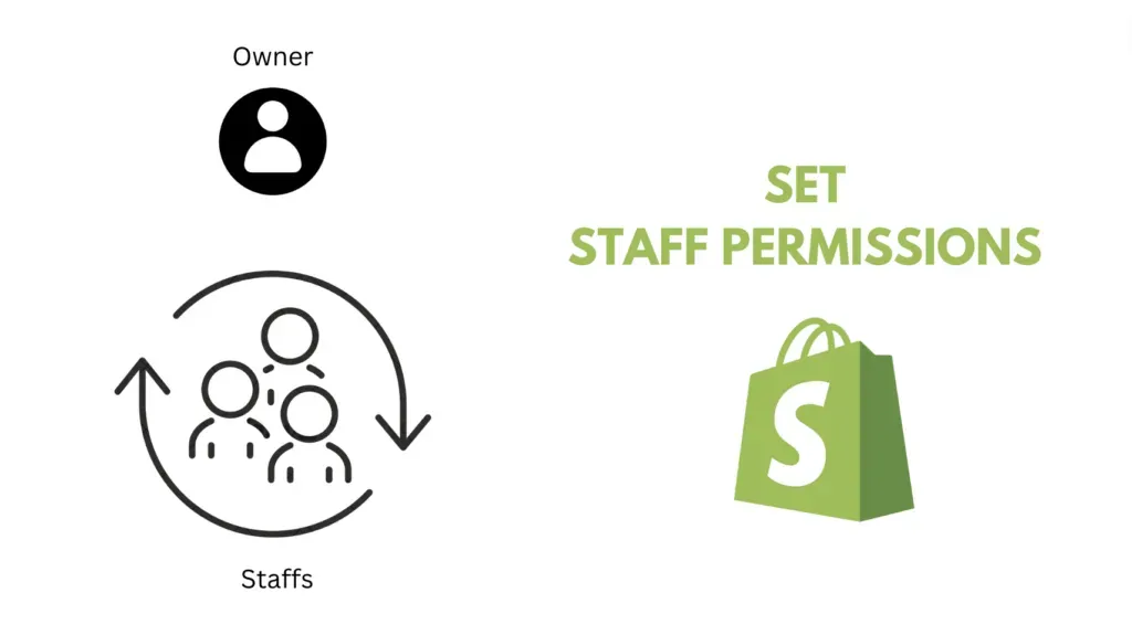 Staff Accounts & Team Collaboration