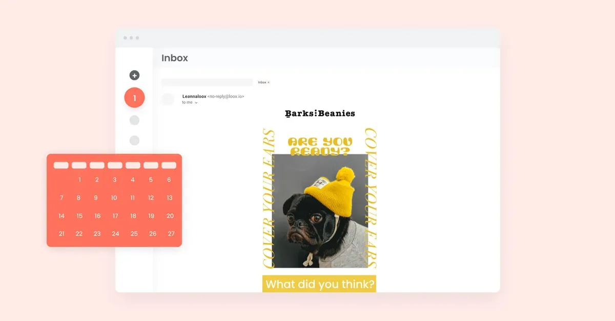 Overview of Shopify review request email