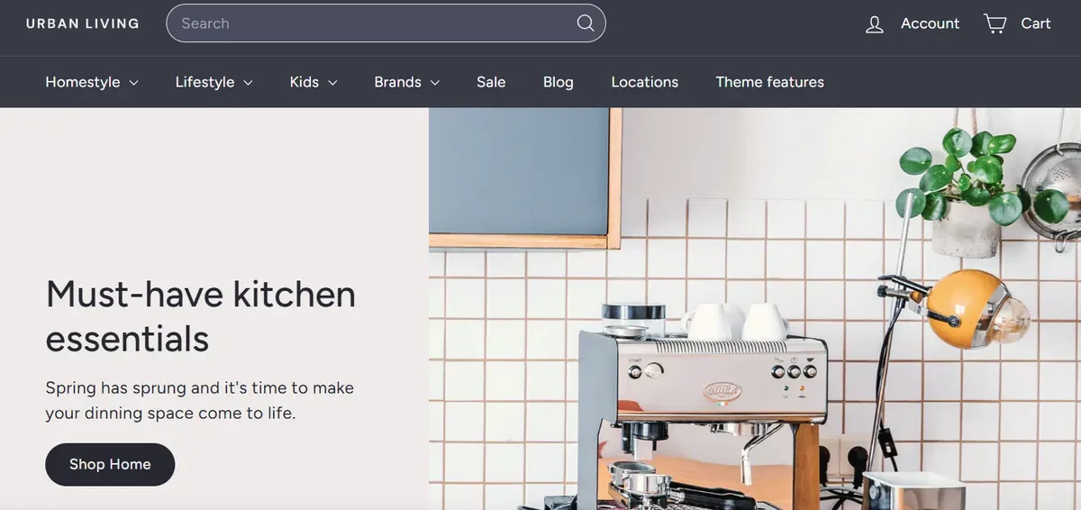 Overview of Expanse Theme Shopify