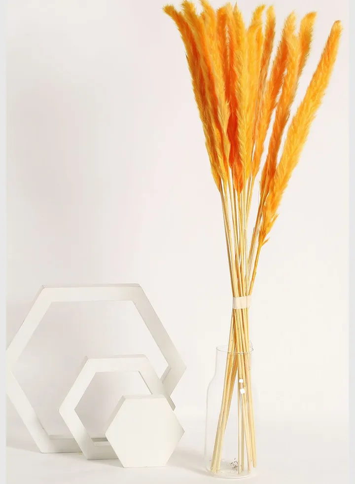 Decorative Pampas Grass Natural Flower Bouqet