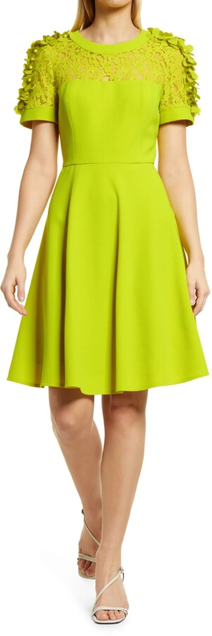 Floral Appliqué Fit & Flare Cocktail Dress