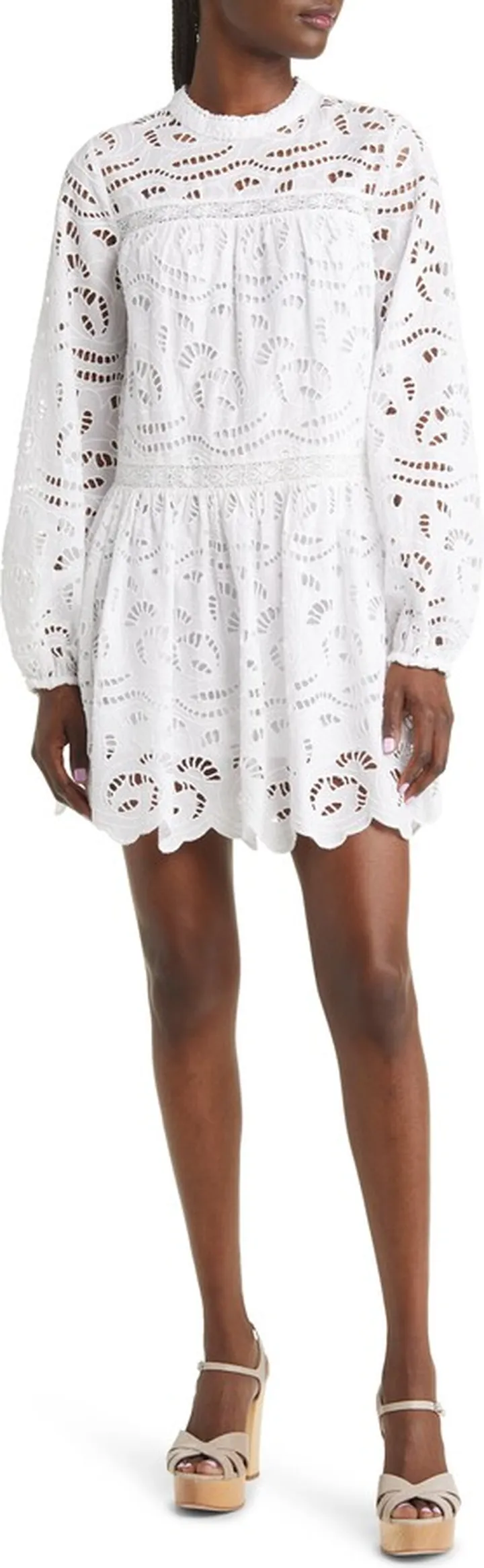 Embroidered Eyelet Long Sleeve Cotton Minidress