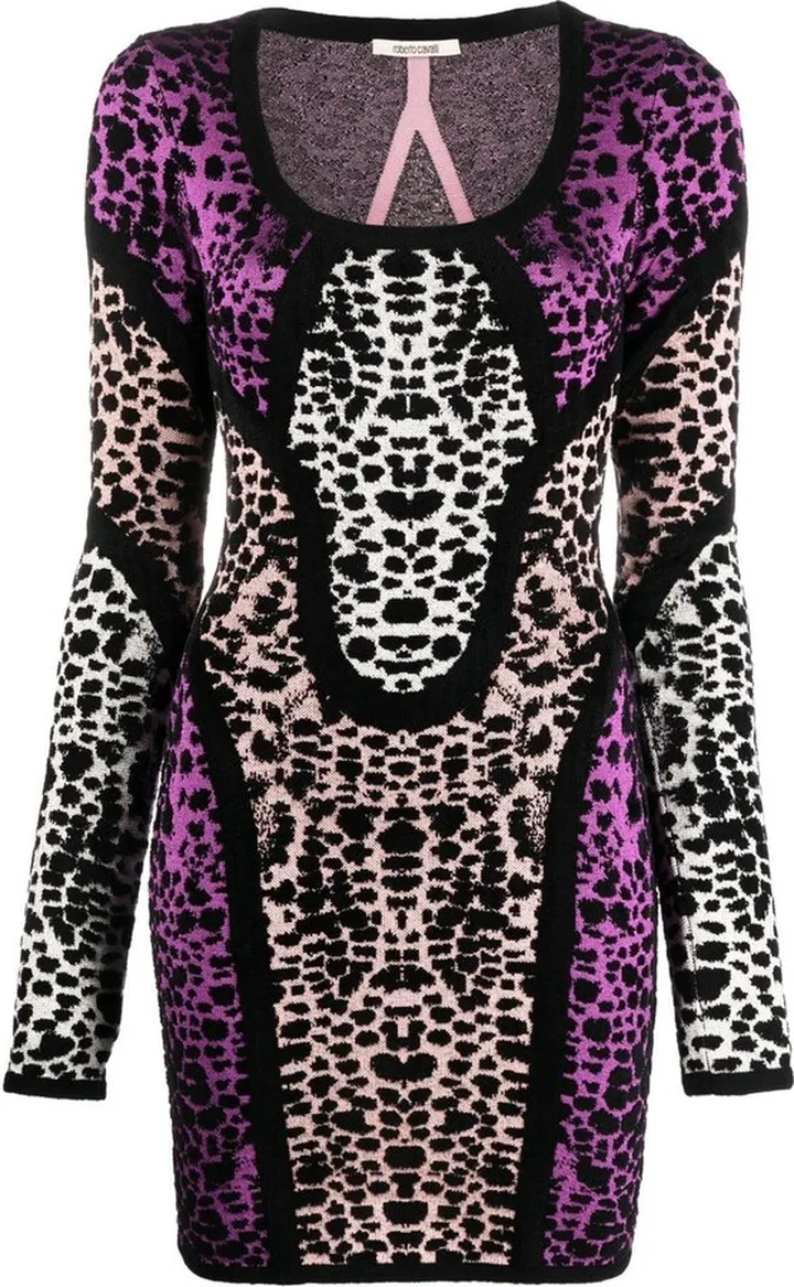Animal Print Panelled Minidress