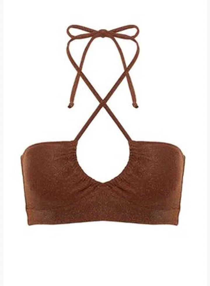 Brown Strapless Silvery Bikini Top