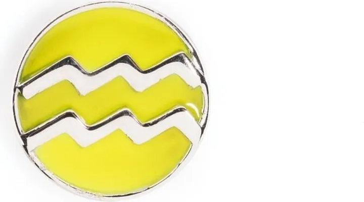 Aquarius POP Coin charm