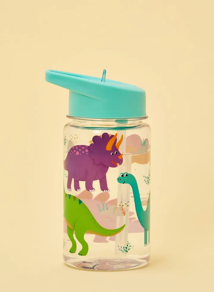 Drink Up Dinosaur Water Bottle