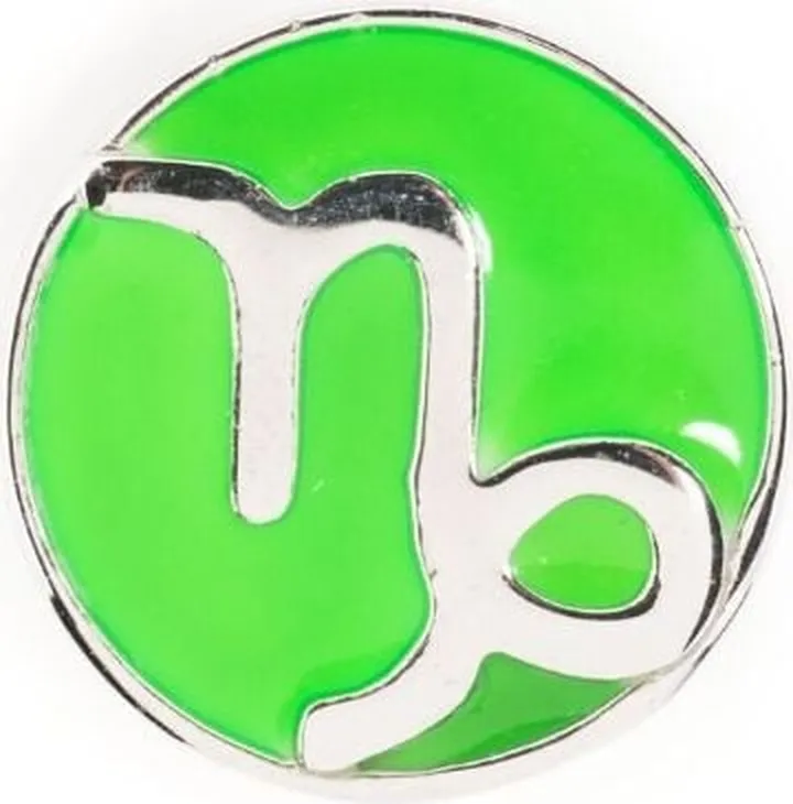 Capricorn POP Coin charm