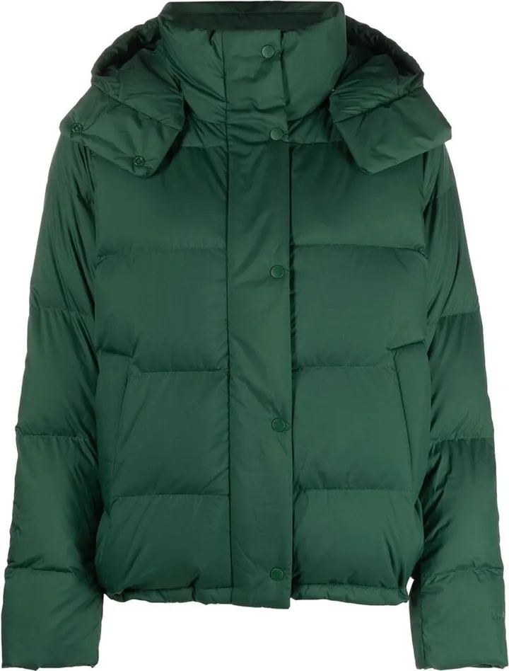 Hooded Puffer Jacket