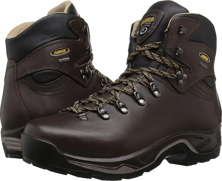 Asolo TPS 520 GV EVO (Chestnut) Men's Boots