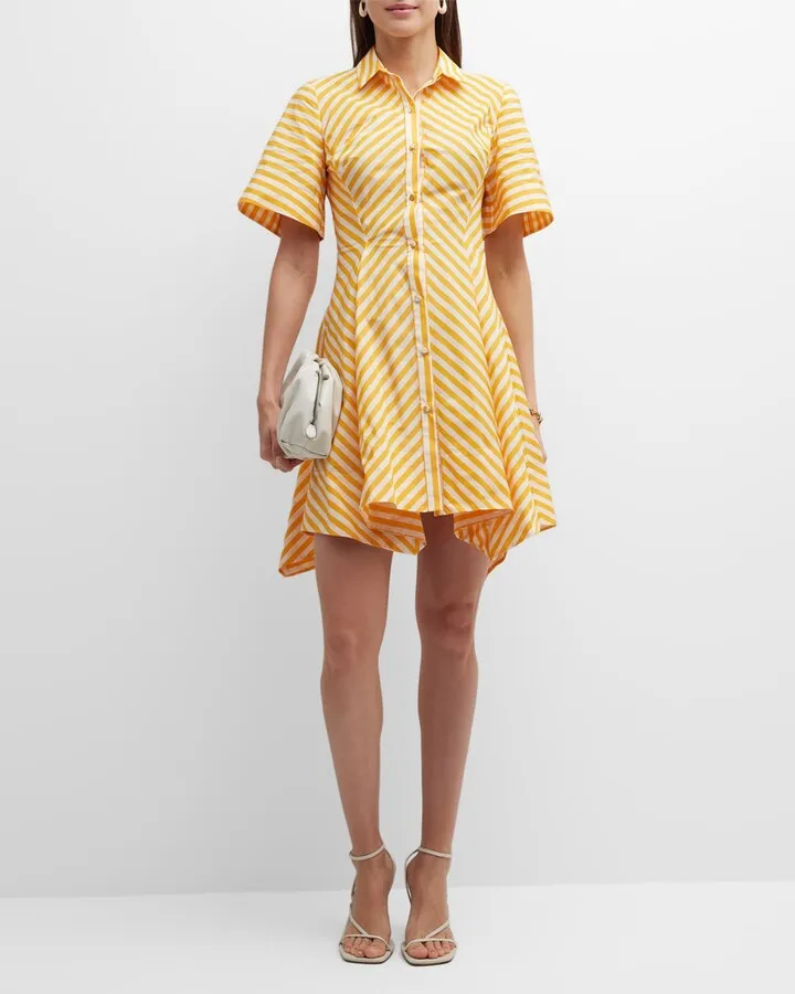 Flared Hem Striped Shirtdress