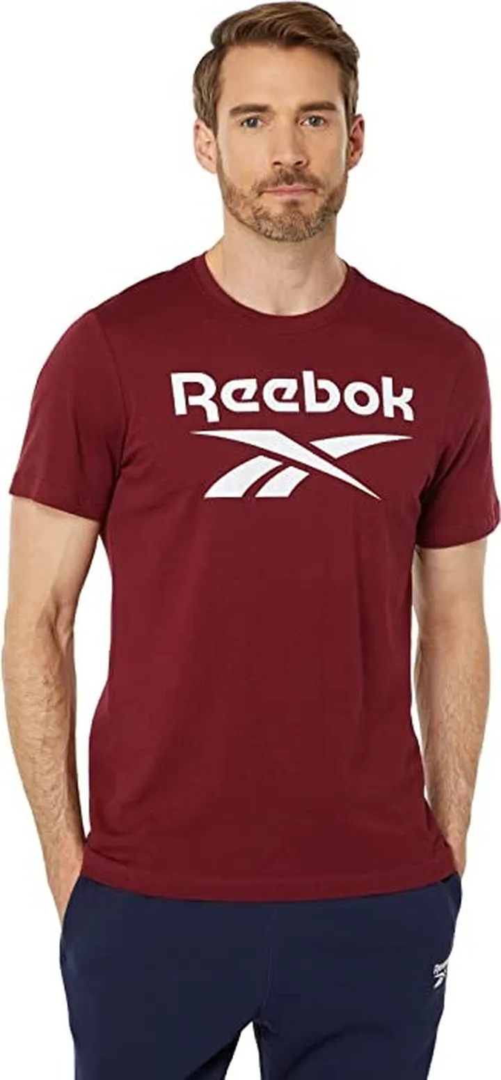 Reebok Identity Big Logo T-Shirt (Classic Burgundy) Men's Clothing