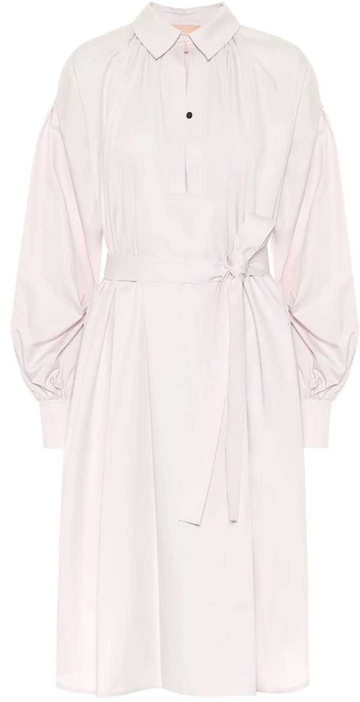 Simina cotton-poplin shirt dress