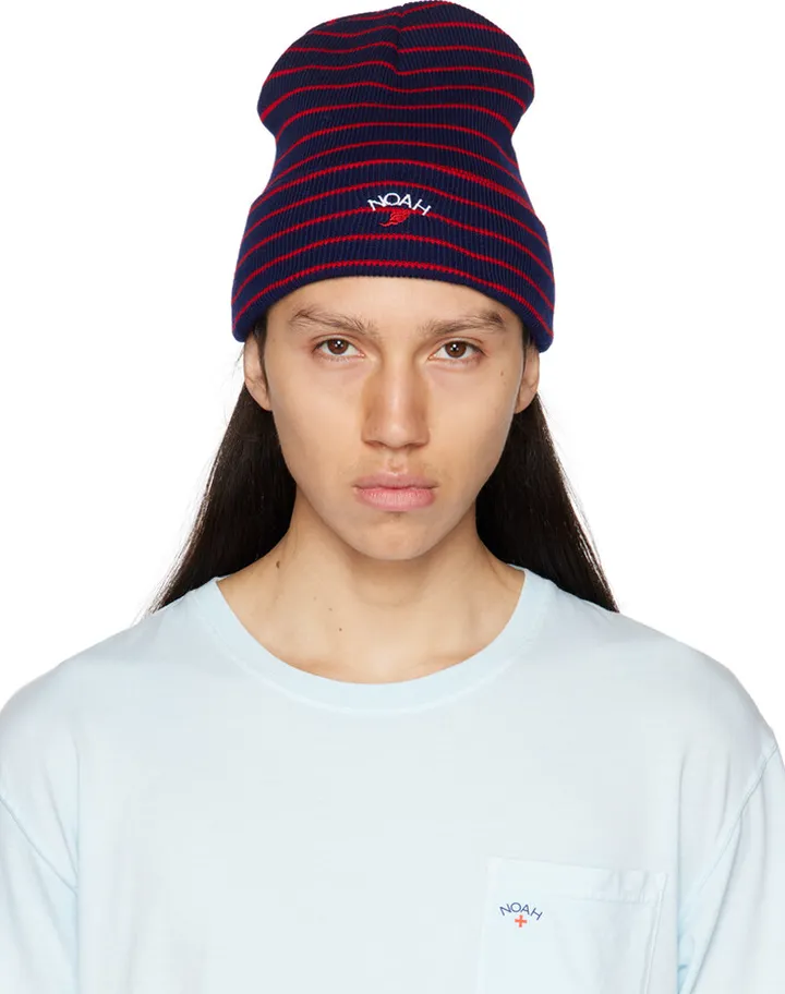 Noah Navy Striped Beanie