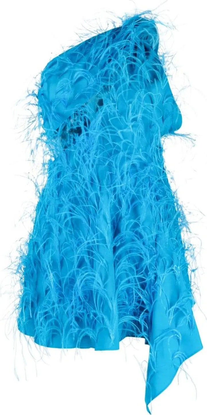 Eliana feather dress
