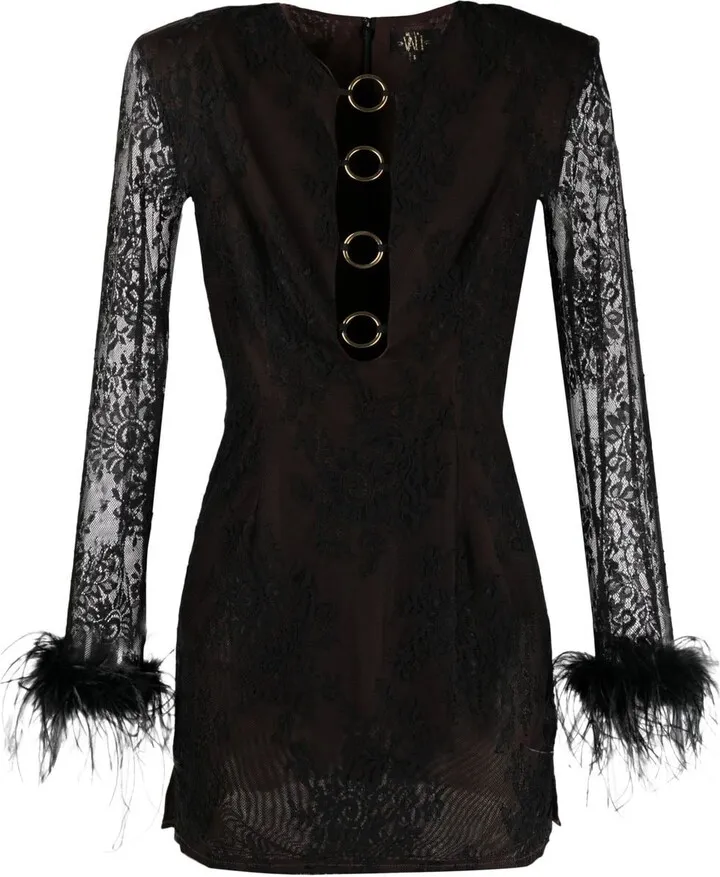Feather-Embellished Lace Minidress