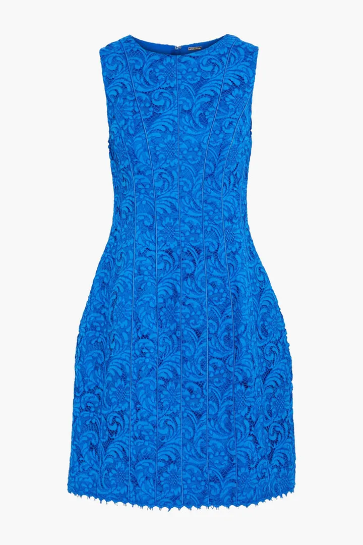 Flared cotton-blend corded lace dress