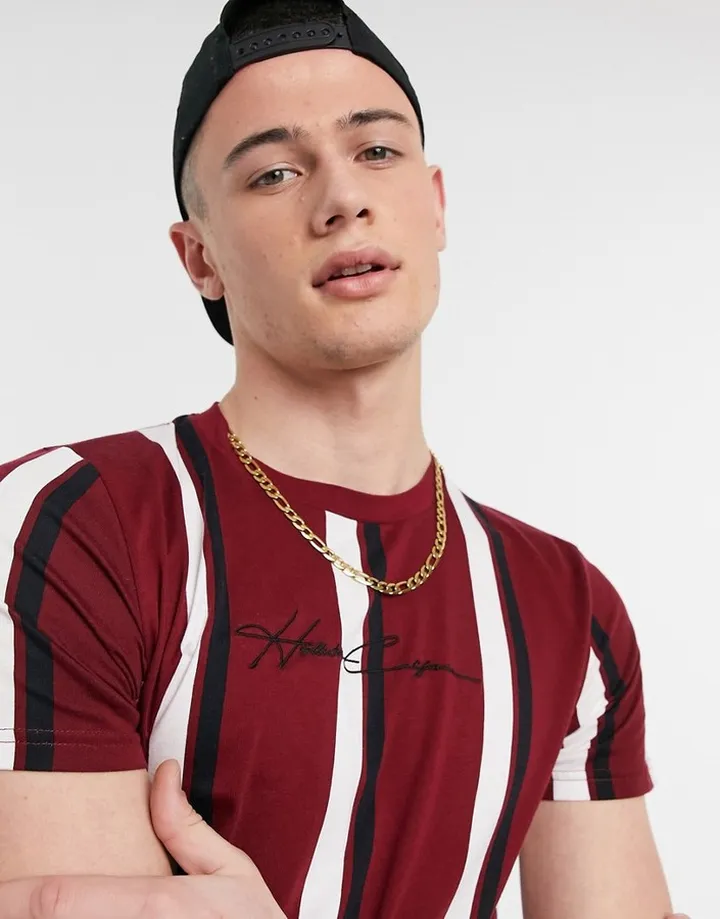Hollister central logo vertical stripe t-shirt in burgundy