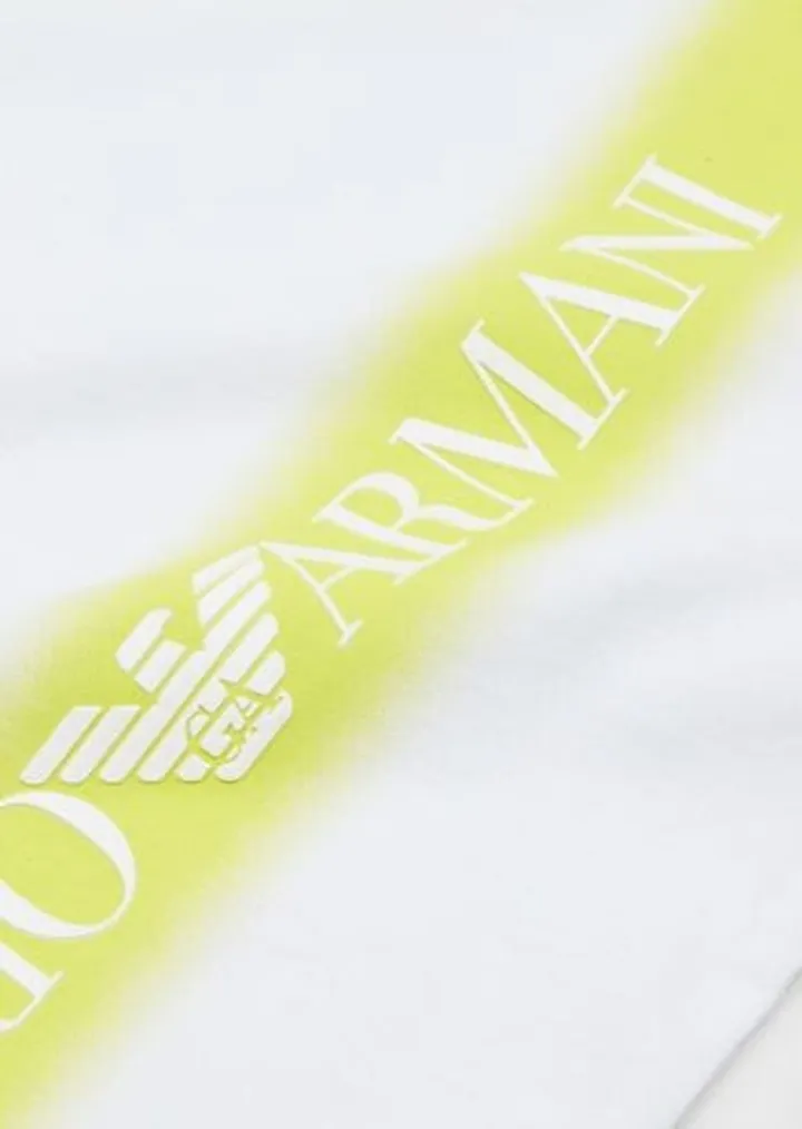 Heavyweight-jersey T-shirt with gradient stripe and EA Crew logo