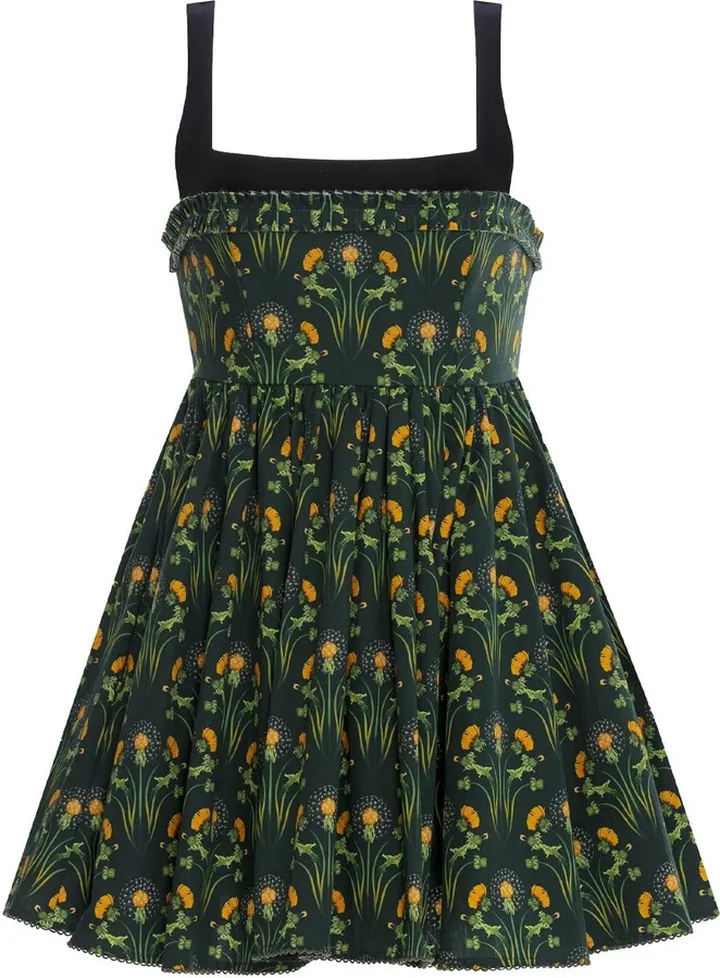 Hierbabuena printed cotton mini dress