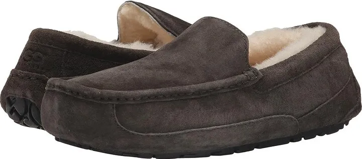 UGG Ascot - WIDE (Charcoal) Men's Slippers