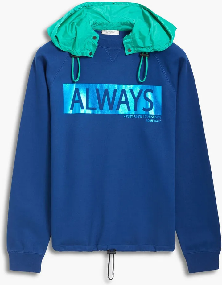 Metallic printed French cotton-blend terry hoodie