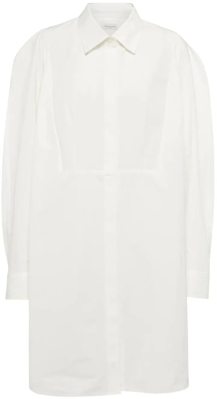 Taffeta shirt dress