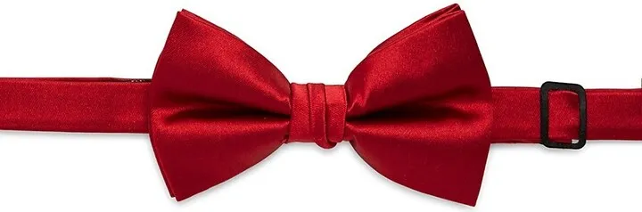 Silk Pre-Tied Bow Tie