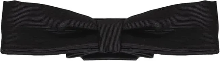 Silk Papillon