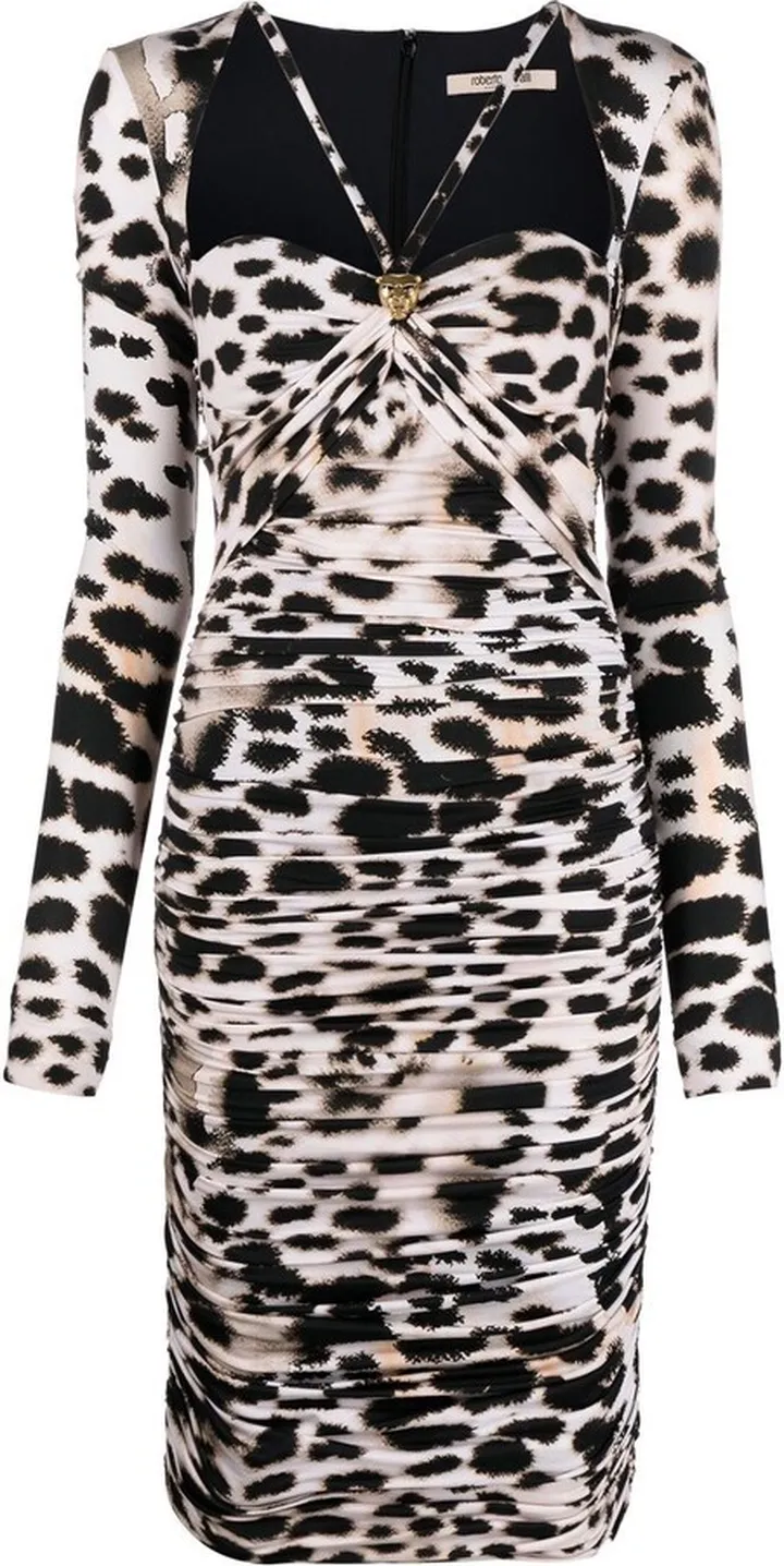 Leopard-Print Ruched Dress