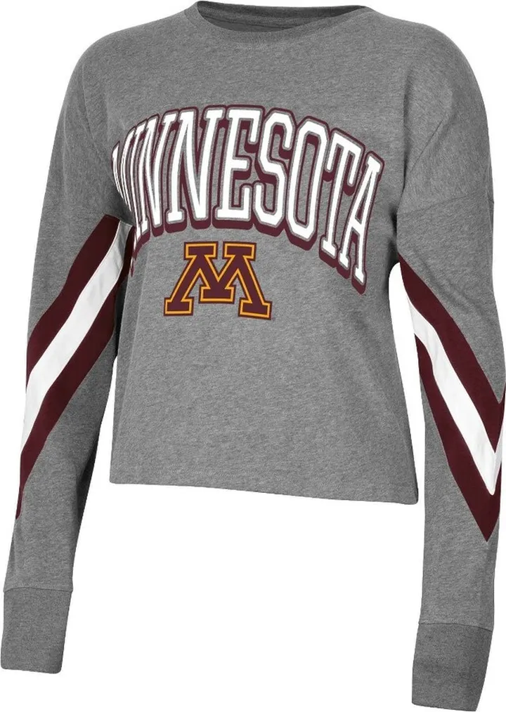 NCAA Minnesota Golden Gophers Women's Long Sleeve Striped Gray T-Shirt - L